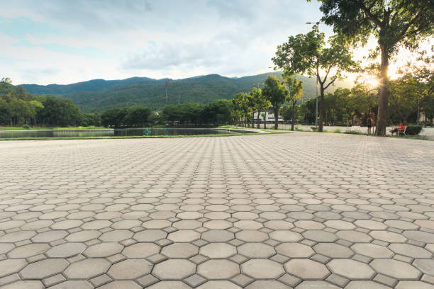 Best Decorative Driveway Pavers  in Clarkson, KY